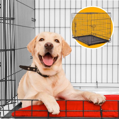 Labrador cage size best sale