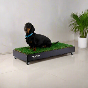 The Turf Loo - Pet Training Turf Loo - petservo