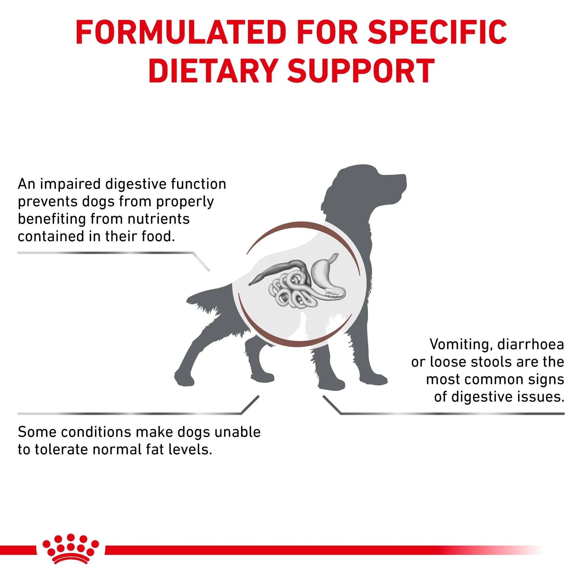 Royal Canin - Veterinary Diet Gastrointestinal Low Fat Adult Dry Dog Food - Petservo