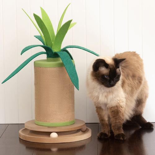 Baxter Bone - Interactive Plant Cat Scratcher