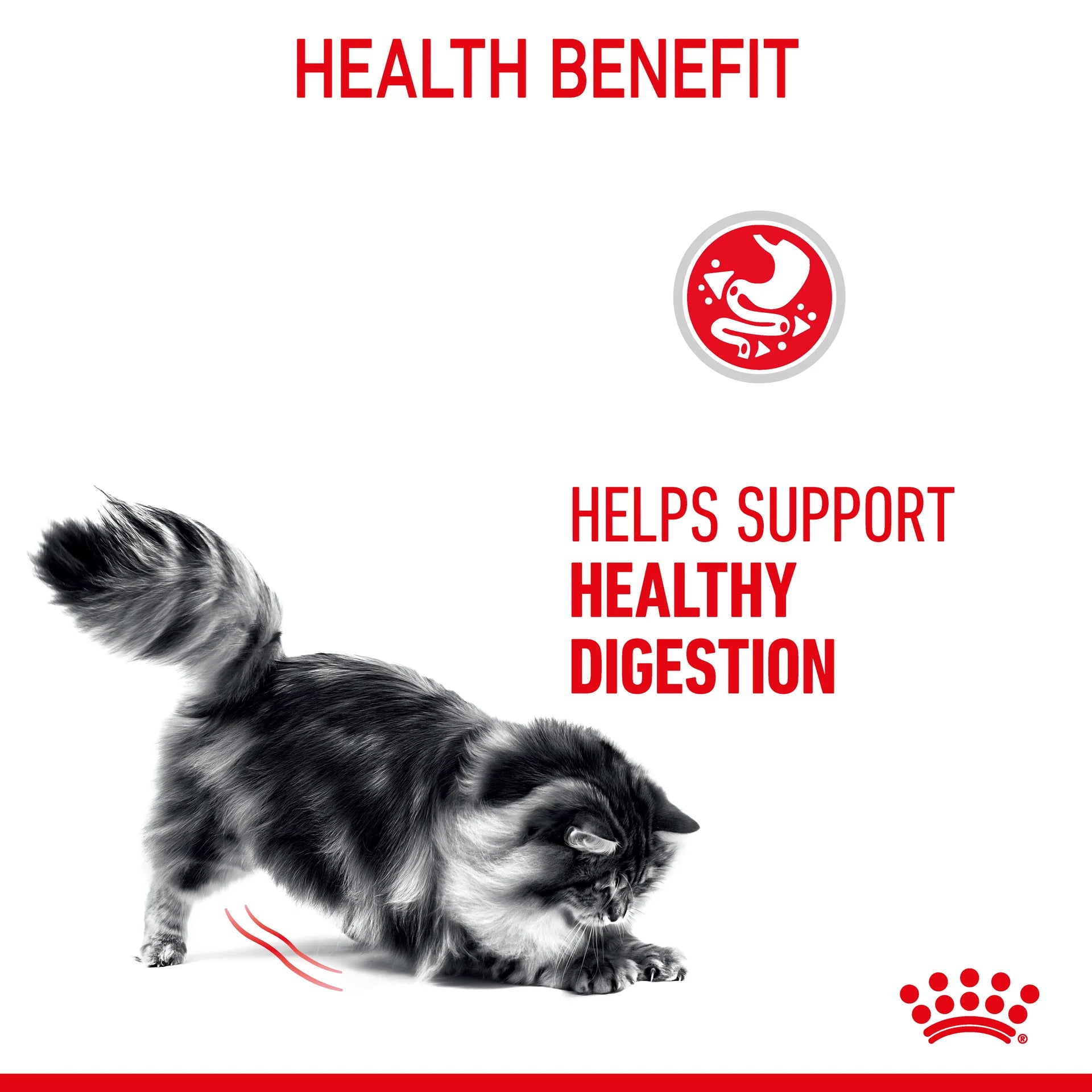 Royal Canin - Digestive Care Gravy Adult Wet Cat Food Pouches 85g x 12 - Petservo