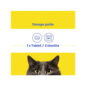 Purina Total Care - Kitten Allwormer - 2 Pack - petservo