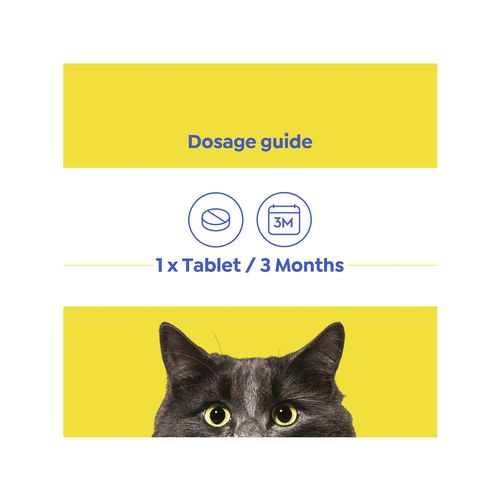 Purina Total Care - Kitten Allwormer - 2 Pack - petservo