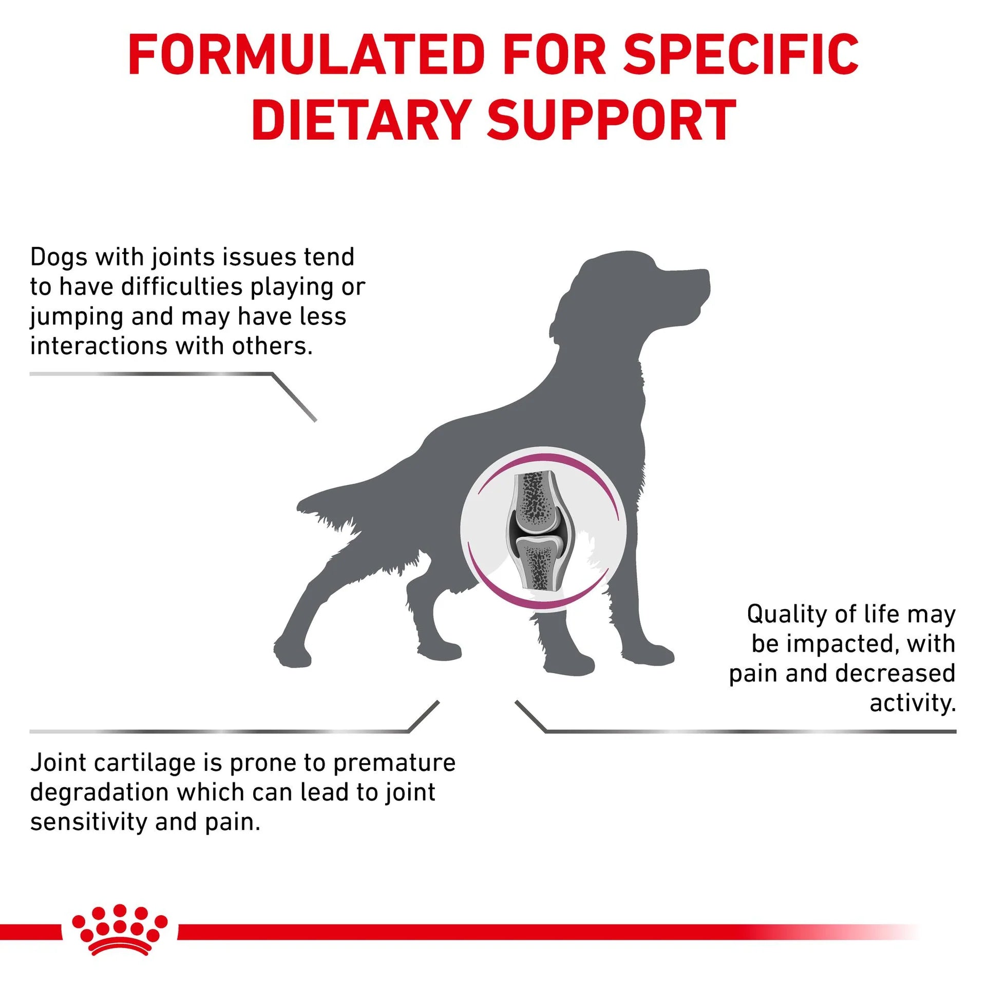 Royal Canin - Veterinary Diet Mobility C2P+ Adult Dry Dog Food - Petservo