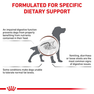 Royal Canin - Veterinary Diet Gastrointestinal Low Fat Adult Wet Dog Food 420g x 12 - Petservo