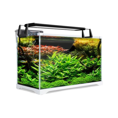 Dynamic Power - Aquarium Fish Tank 39L Starfire Glass