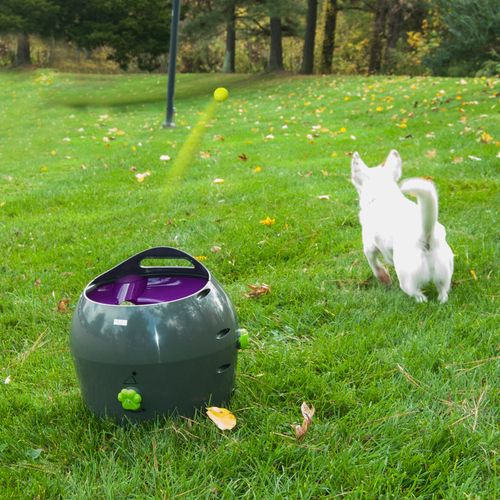 Petsafe® - Automatic Ball Launcher Dog Toy - Grey