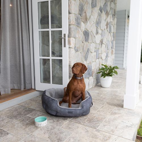 Baxter Bone - Charcoal Green Thumb Print Pet Shell Bed - Small - petservo