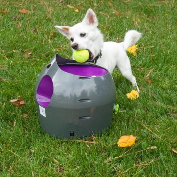 Petsafe - Automatic Ball Launcher Dog Toy  - petservo