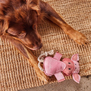 Happy Tails - Pig Farmyard Toy - Petservo