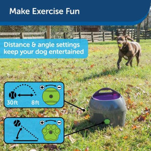 Petsafe - Automatic Ball Launcher Dog Toy  - petservo