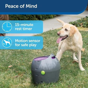 Petsafe - Automatic Ball Launcher Dog Toy  - petservo