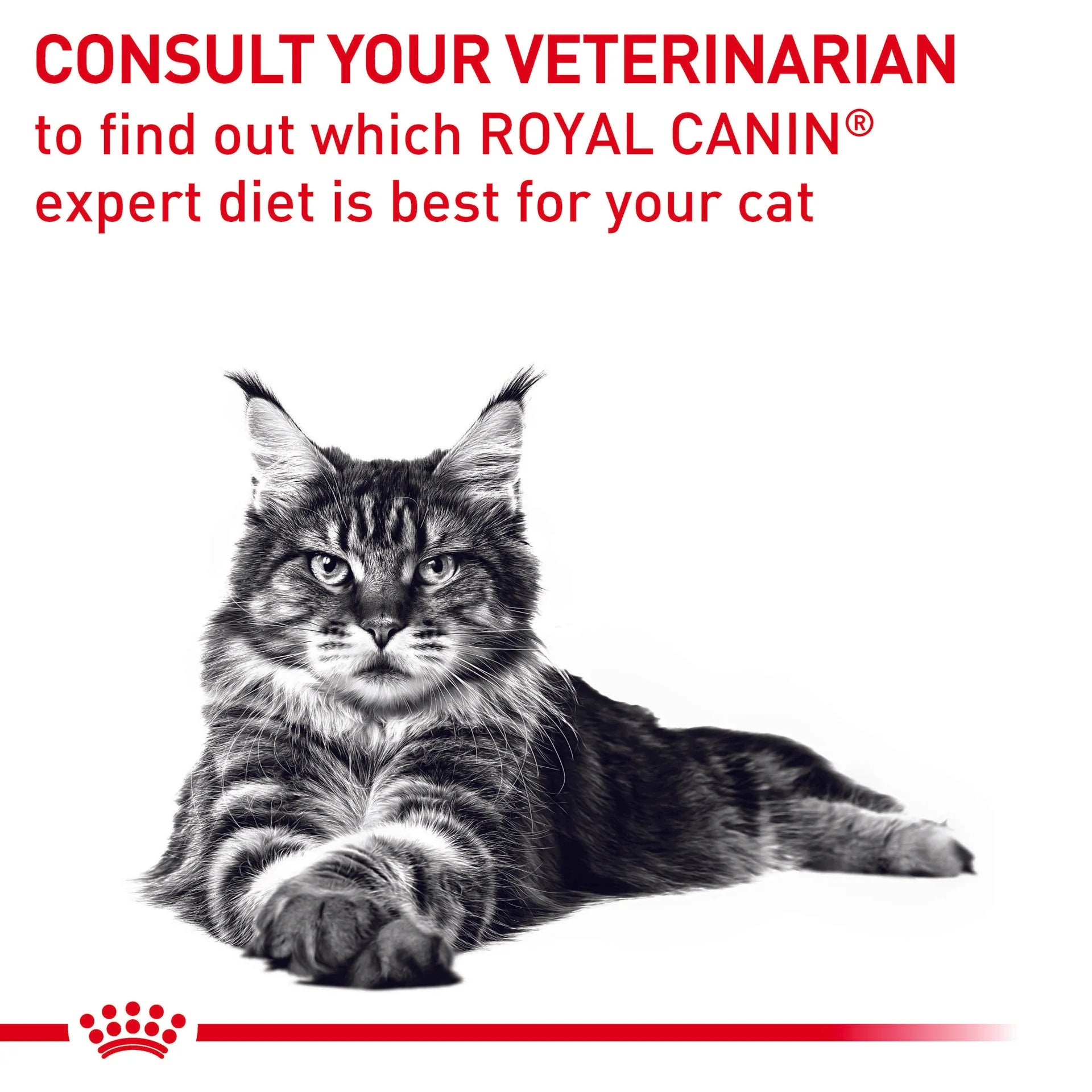 Royal Canin - Veterinary Diet Neutered Balance Adult Wet Cat Food Pouches 85g x 12 - Petservo