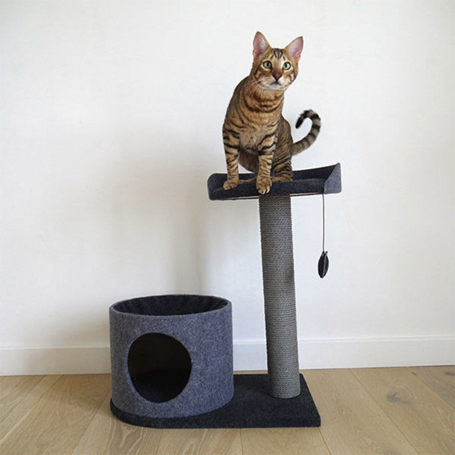 Rosewood - Charcoal Felt Cat House and Perch - Petservo