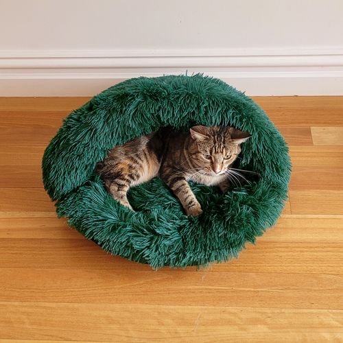 Charlie's - Fur Faux Igloo Cat Cave Bed Eden Green - 60 X 50cm