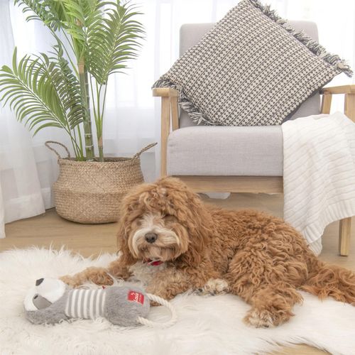 Louie Living - Urban 34x11cm Silas The Sloth Dog/Pet Toy - Grey - 2PK