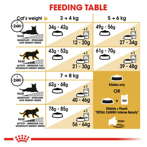 Royal Canin - Ragdoll Adult Dry Cat Food - Petservo