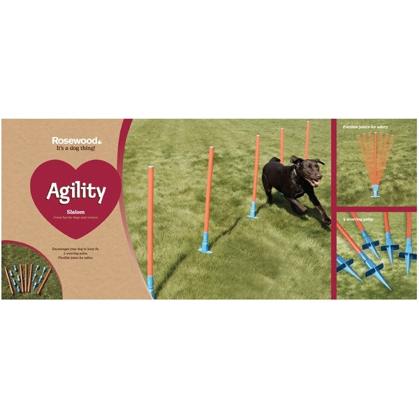 Rosewood - Agility Slalom