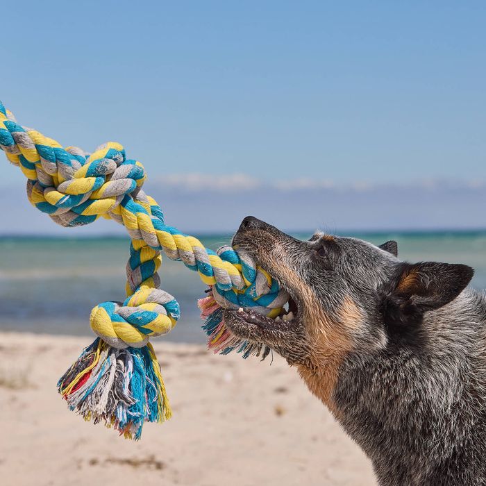 Happy Tails - XL Rope Tug Toy - Petservo