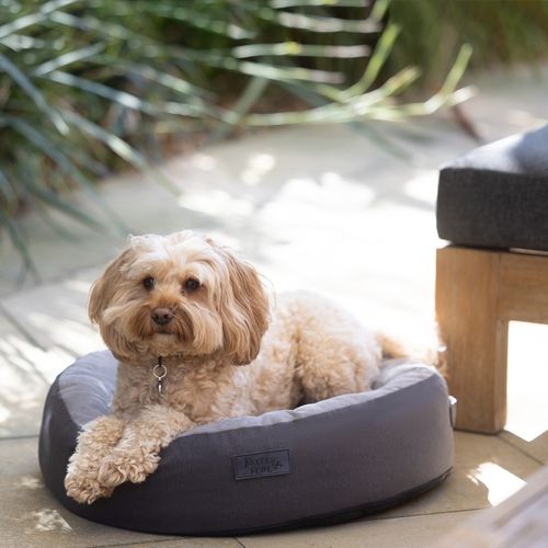 Baxter Bone - Cooling Gel And Foam Donut Bed