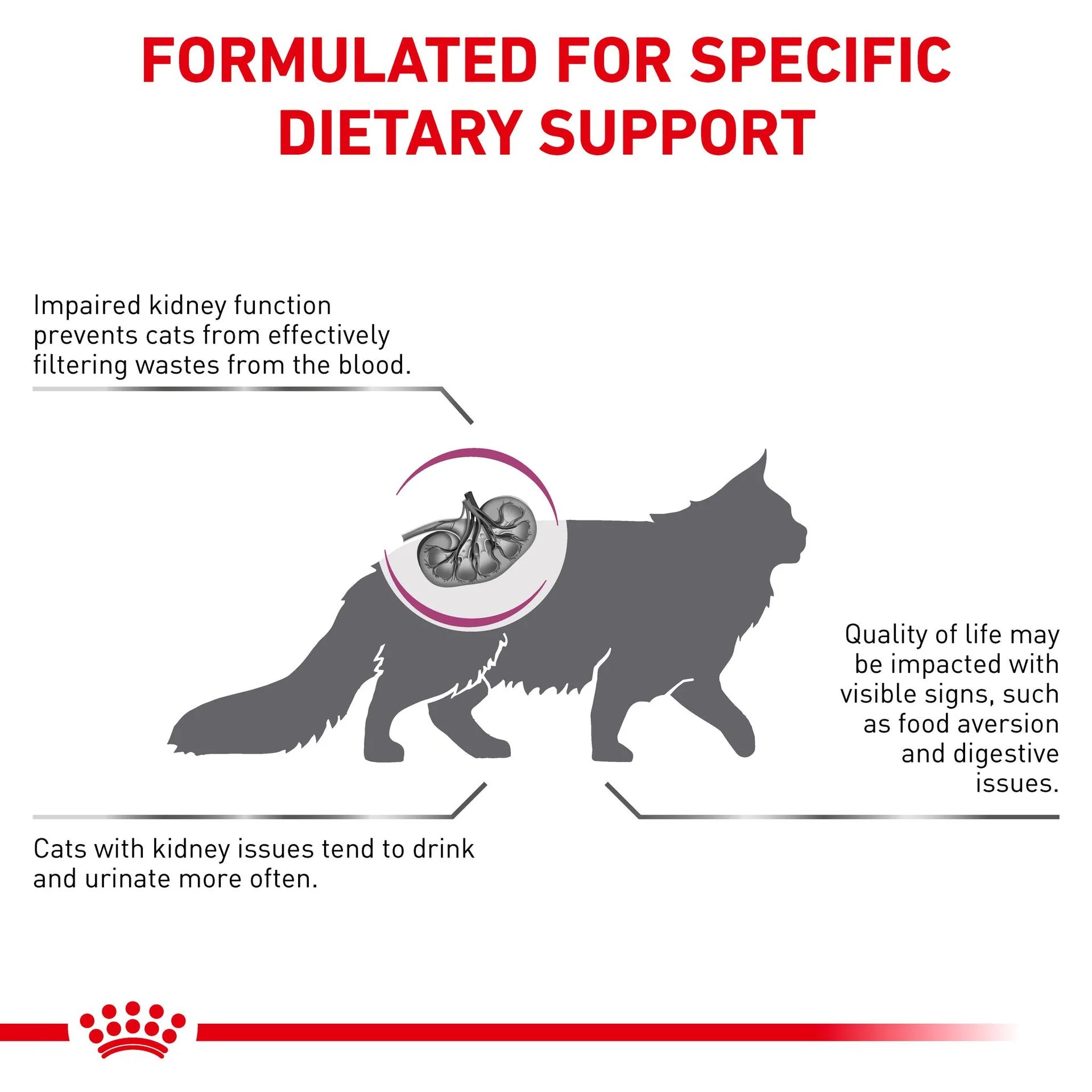 Royal Canin - Veterinary Diet Renal Adult Dry Cat Food - Petservo