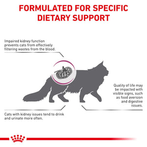 Royal Canin - Veterinary Diet Renal Adult Dry Cat Food - Petservo