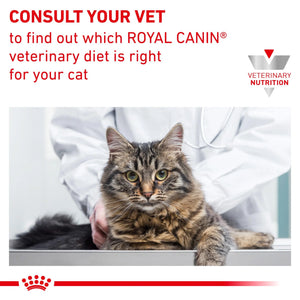 Royal Canin - Veterinary Diet Renal Adult Dry Cat Food - Petservo