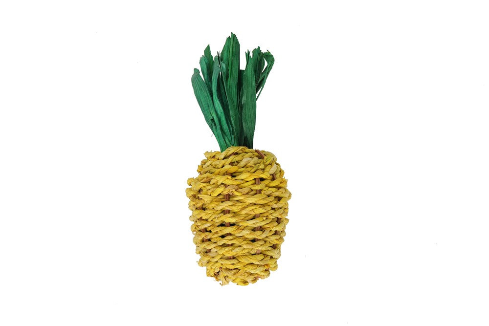 Nature Island - Woven Pinapple Chew - Petservo