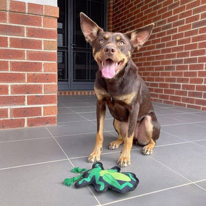 Baxter Bone - Grasshopper Dog Toy - Petservo