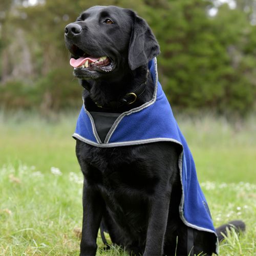 WeatherBeeta - ComFiTec Windbreaker Free Dog Coat 25cm - Dark Blue