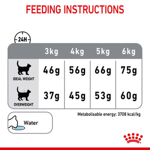 Royal Canin - Dental Care Adult Dry Cat Food - Petservo