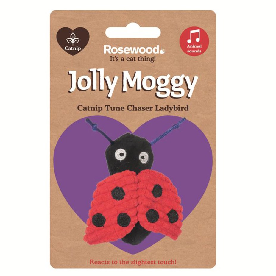 Rosewood - Jolly Moggy Catnip Tune Chaser Landybird - Petservo