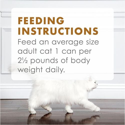 Fancy Feast - 85g Gravy Lovers Poultry and Beef Wet Cat Food - 24 Pack - petservo