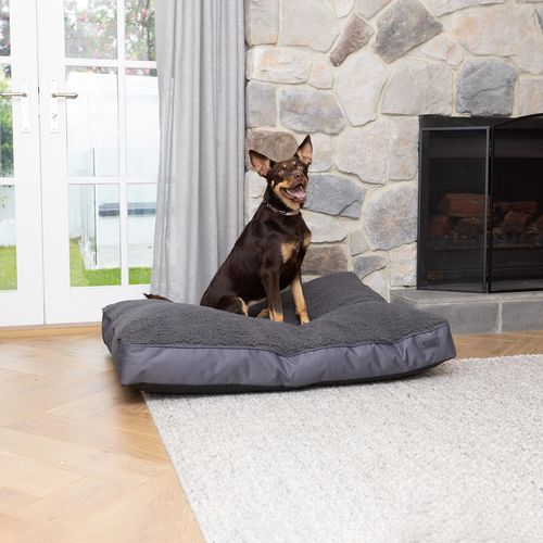 Baxter Bone - Charcoal Pillow Bed - Large