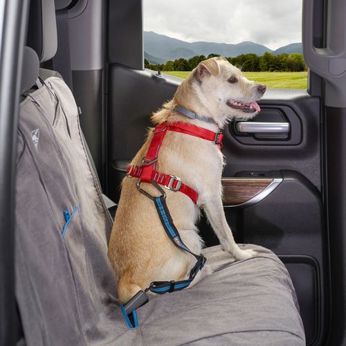 Kurgo Pets - Direct To Seatbelt Tether Dog Travel - Blue