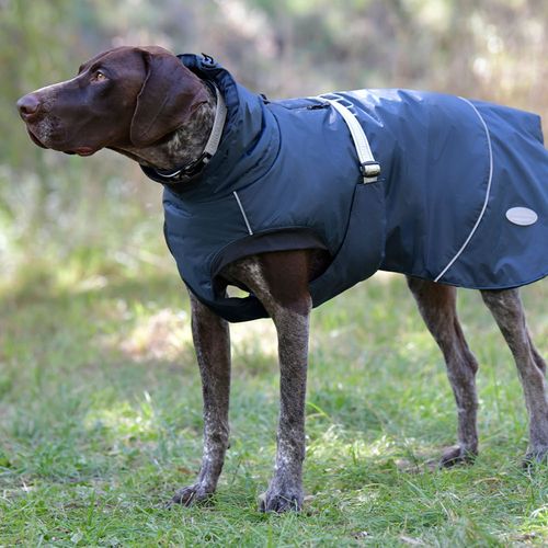 WeatherBeeta - Explorer Dog Coat 25CM - Navy Blue - Medium