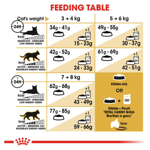 Royal Canin - British Shorthair Adult Dry Cat Food 4kg - Petservo