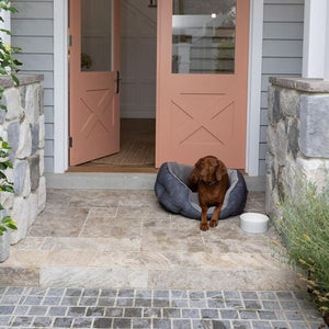 Baxter Bone - Pastel Ceramic Pet Bowl - Medium Grey - petservo