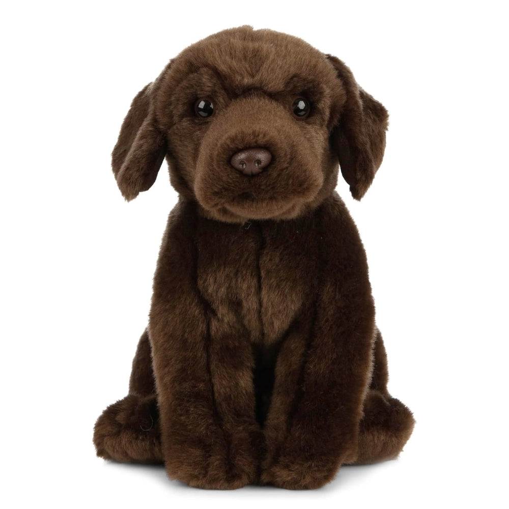 Living Nature - Soft Toy Plush Pet Animal, Chocolate Labrador Dog (20cm)