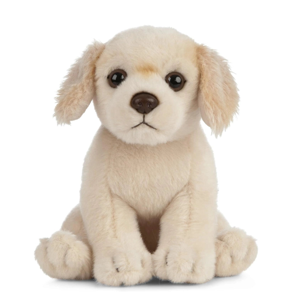 Living Nature - Soft Toy Plush Pet Animal, Golden Retriever Puppy (16cm)