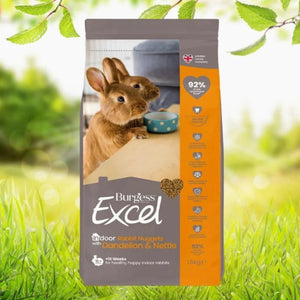 Burgess - Excel Indoor Rabbit Pellets 1.5kg - Petservo