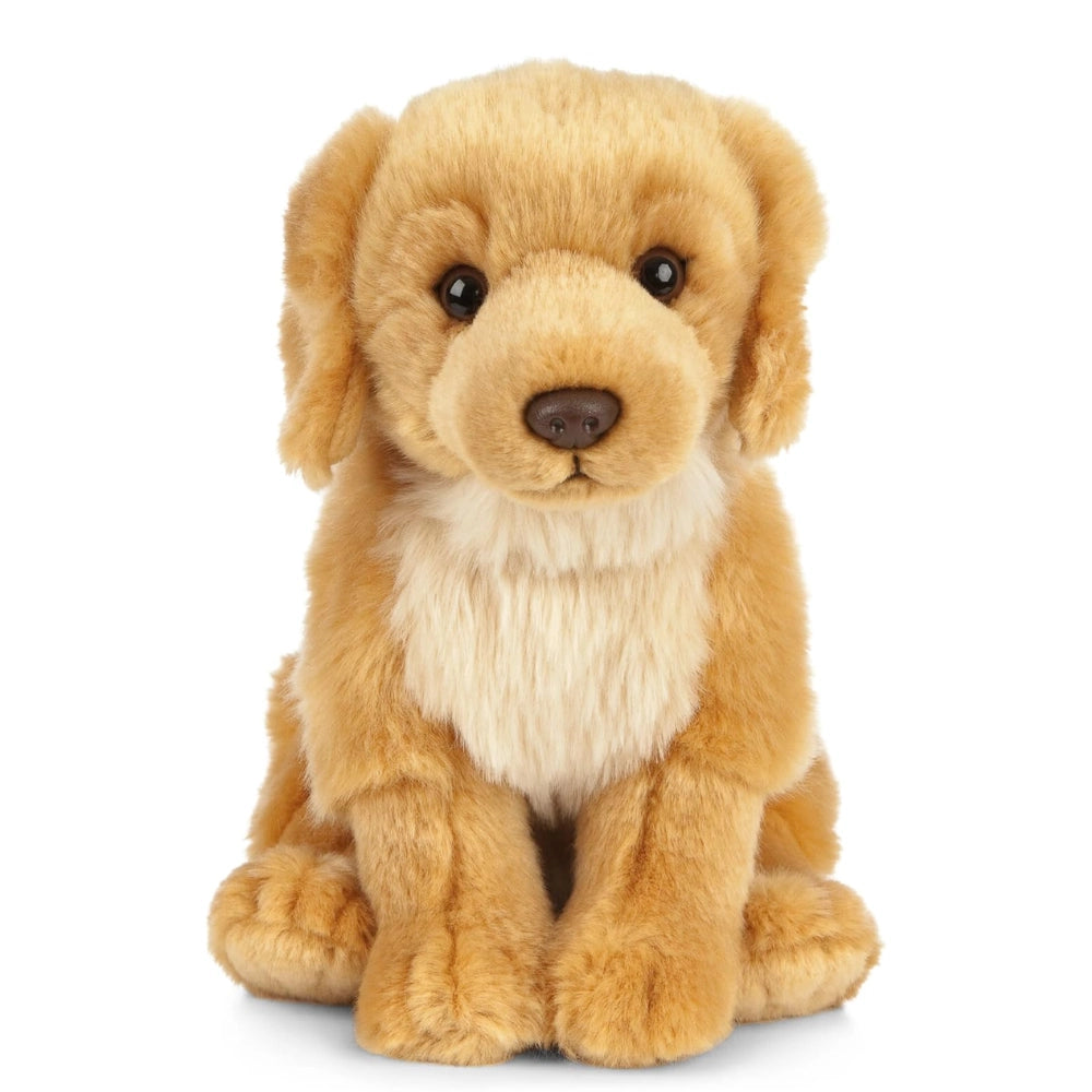 Living Nature - Soft Toy Plush Pet Animal, Golden Retriever Dog (20cm)