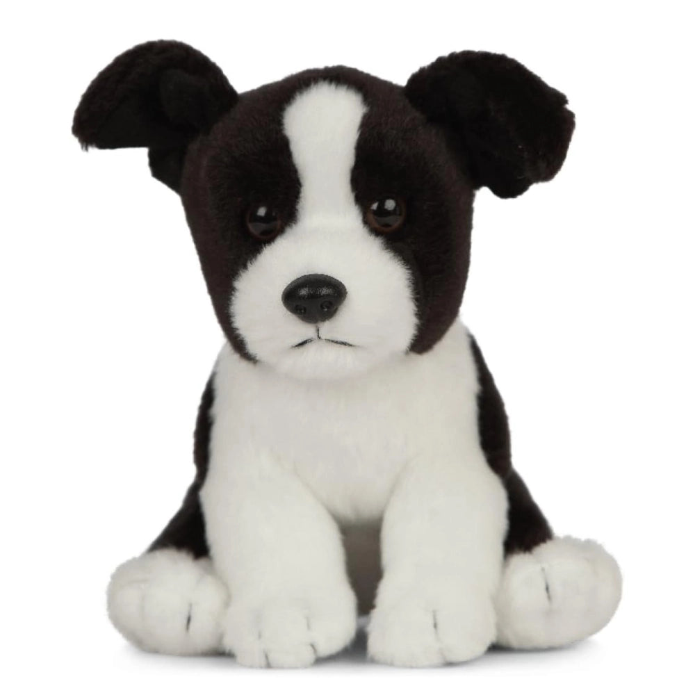 Living Nature - Soft Toy Plush Pet Animal, Border Collie Puppy