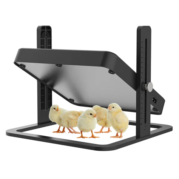 Advwin - Chick Brooder Chicken Coop Heater - Pet Servo