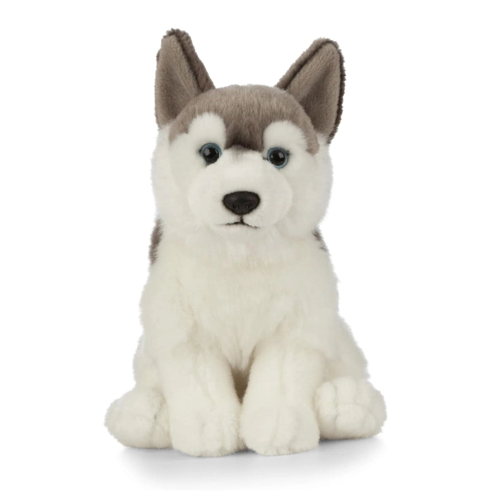 Living Nature - Soft Toy Plush Husky Dog