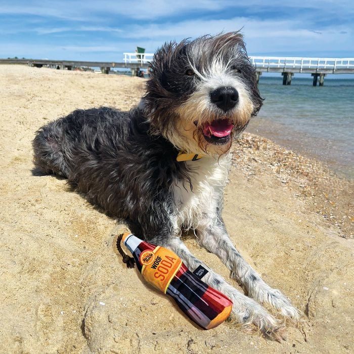 Baxter Bone - Woof Soda With Rope Pet Toy - Petservo