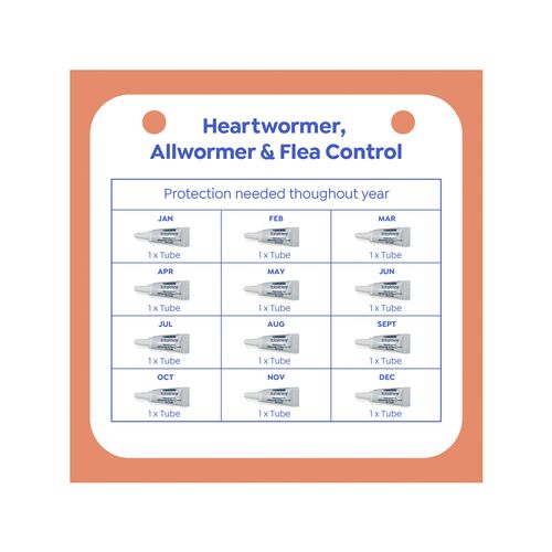 Purina Total Care - Cat Heartwormer, Allwormer and Flea Control - petservo