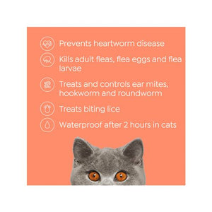 Purina Total Care - Cat Heartwormer, Allwormer and Flea Control - petservo