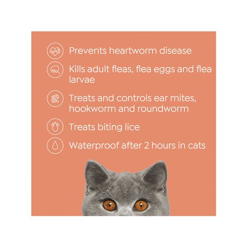 Purina Total Care - Cat Heartwormer, Allwormer and Flea Control - petservo