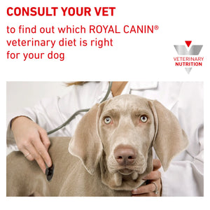 Royal Canin - Veterinary Diet Hepatic Adult Dry Dog Food - Petservo